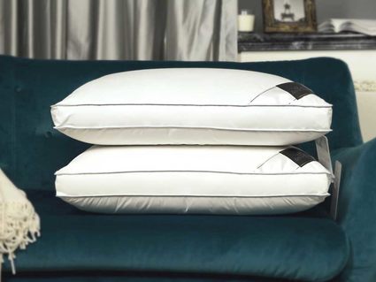 Подушка Trois Couronnes Traditional Goose Down Plus 219