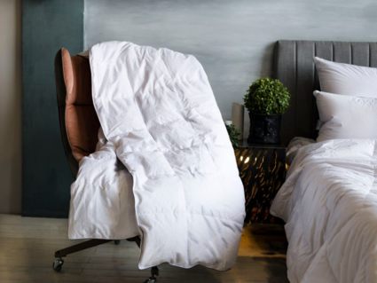 Одеяло German Grass Gray Familie Down всесезонное 220х240