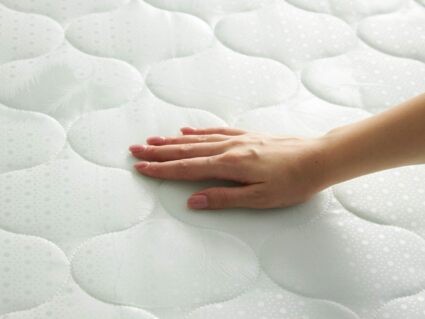 Матрас Димакс Оптима Ролл Массаж Кокос 90х190