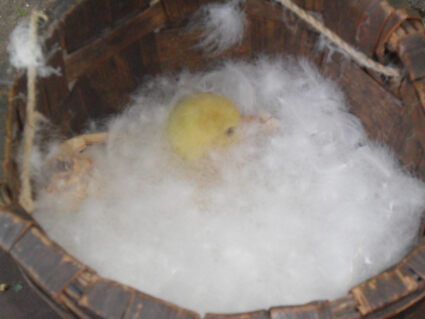 Подушка Nature’S-Natura Sanat Люкс 70х70