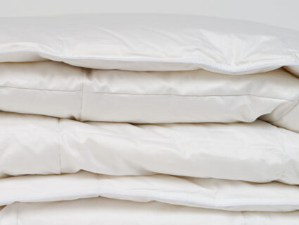 Одеяло Nature’S-Natura Sanat Воздушный пух всесезонное 140х205