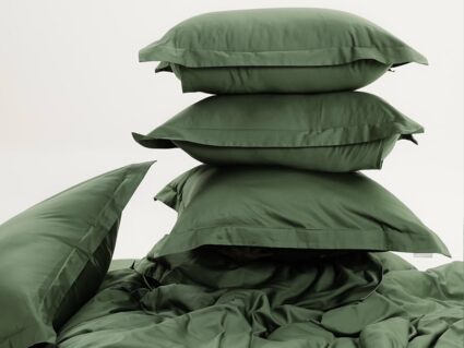 Комплект постельного белья Софи де Марко Моно (малахит) Евро