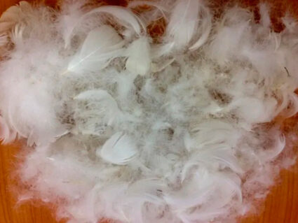 Подушка Nature’S-Natura Sanat Стандарт 70х70