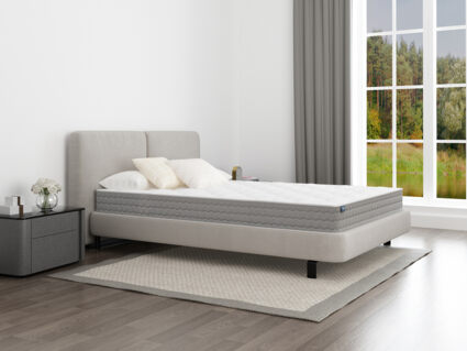 Матрас Димакс Биг медиум 100х200