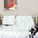 Одеяло German Grass Baby Cotton Grass всесезонное Light 100х150