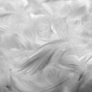 Подушка Nature’S-Natura Sanat Ночная гармония 70х70